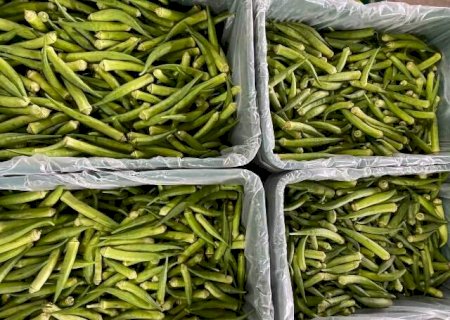 Pre&ccedil;o do quiabo dispara 20% e laranja tem queda de 16% na 1&ordf; semana de agosto