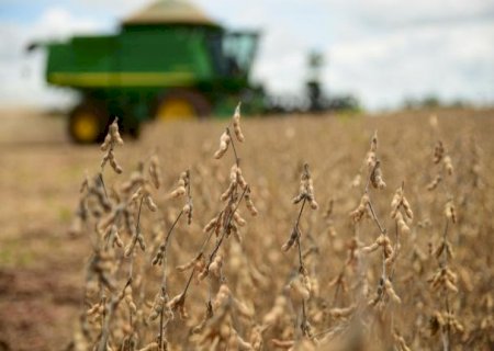 Mesmo com agro endividado, Mato Grosso do Sul mantém inadimplência baixa no FCO>