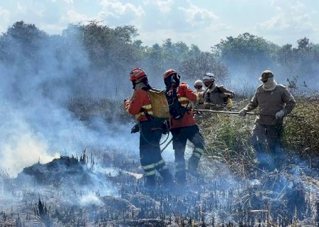 Enquanto fogo recua no Cerrado, Pantanal tem alta de 179% em MS>