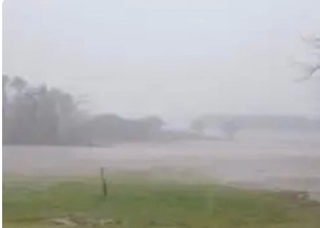 Ap&oacute;s dois meses de estiagem, chuva renova esperan&ccedil;a na Serra do Amolar>