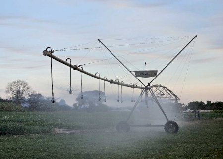 El Niño pode afetar desempenho da agricultura de MS em 2027>
