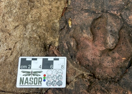 Novas pegadas de dinossauros em Nioaque levam a histórias de 150 milhões de anos>
