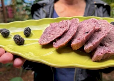 Amora do quintal vira pão fofinho e cheio de cor com receita simples>