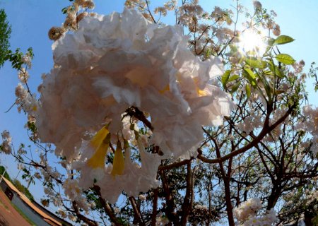 Primavera terá tempestades severas e risco de onda de calor em MS>