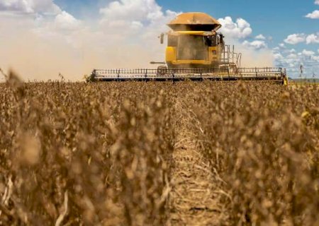 Soja em MS exige 42 sacas por hectare para cobrir custo na safra 2026/27>