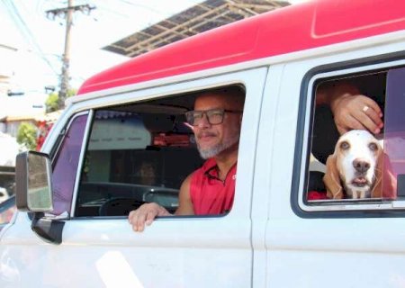 Kombi dos cachorros leva até 15 pets e rouba olhares pelas ruas>