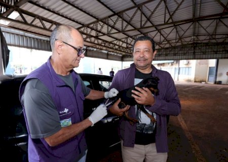 Dourados leva hoje vacinação antirrábica para cinco pontos da cidade>