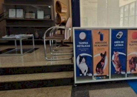 Tampinhas e lacres ajudam a pagar castrações de cães e gatos>