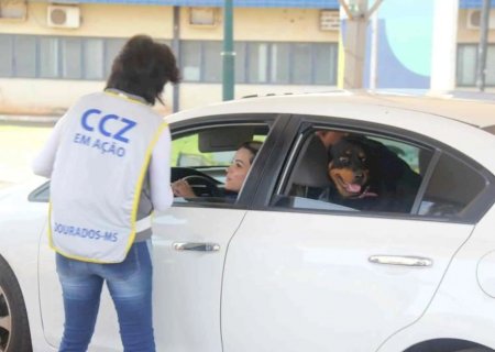 Dourados reforça, hoje, vacinação contra a raiva com drive-thru para cães e gatos