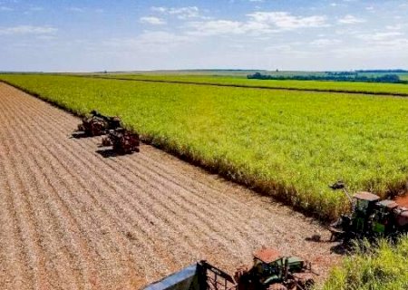 Corante verde no etanol pode exigir adequa&ccedil;&otilde;es nas usinas de MS e elevar custos>