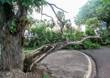 MS ter&aacute; quatro dias de alerta para tempestades e ventos de at&eacute; 60 km/h>