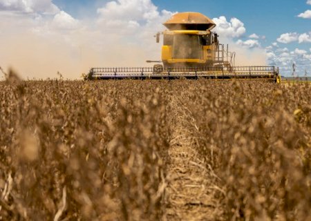 Mercado já absorveu 91% da soja e 51% do milho produzido em MS>