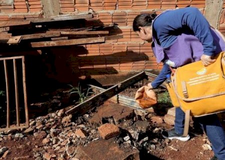 MS j&aacute; soma 31 mortes por chikungunya em 2026