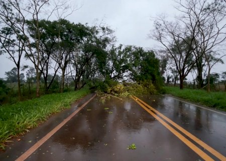 Temporal mobiliza Defesa Civil e secretarias para atendimento às áreas afetadas em Caarapó>